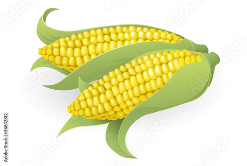 Tasty sweetcorn illustration