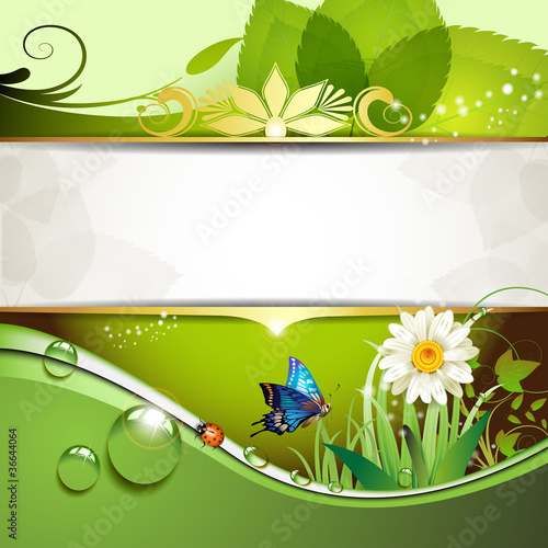 Green background with daisy and drops of water