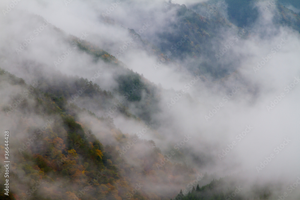 野迫川村の雲海