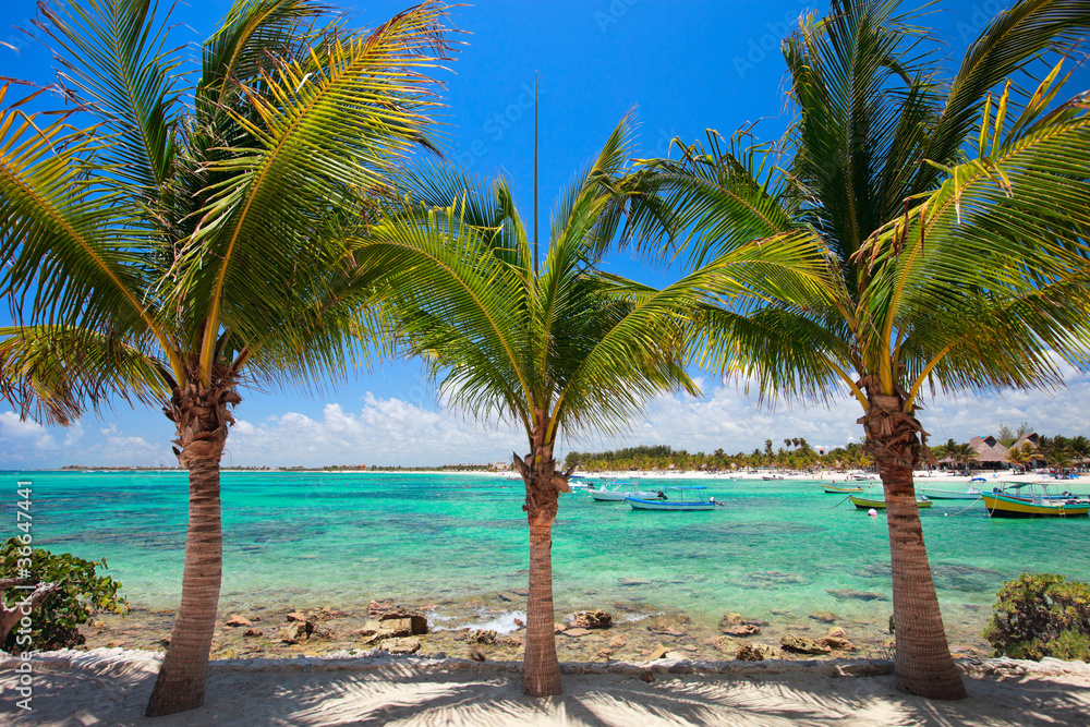 Akumal beach in Mexico