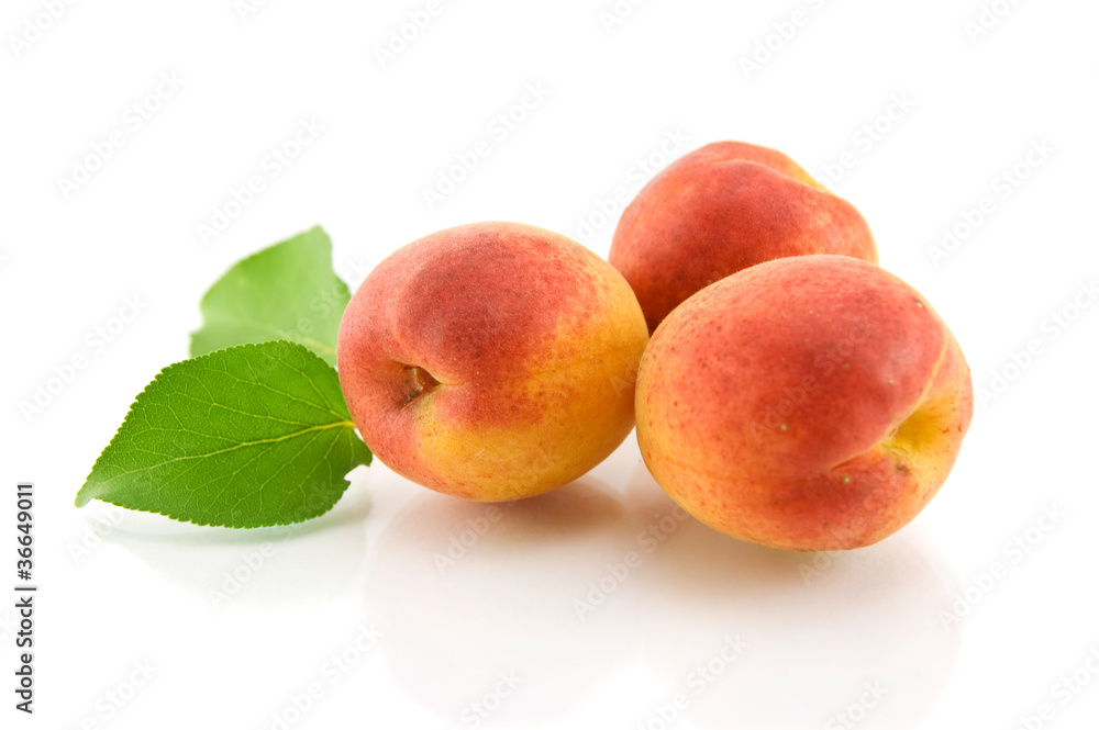 group of apricots with green leaf isolated on white background group of apricots with green leaf isolated on white background