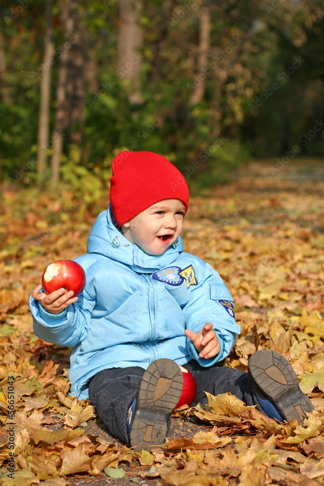 Little boy with two apples on autumn leaves Little boy with two apples on autumn leaves