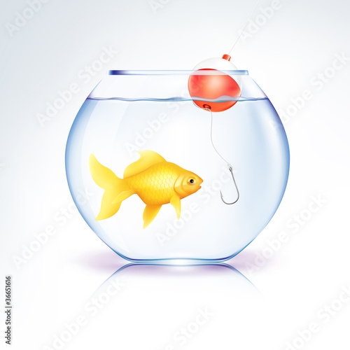 Conceptual Fish in danger