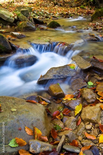 autumn water stream