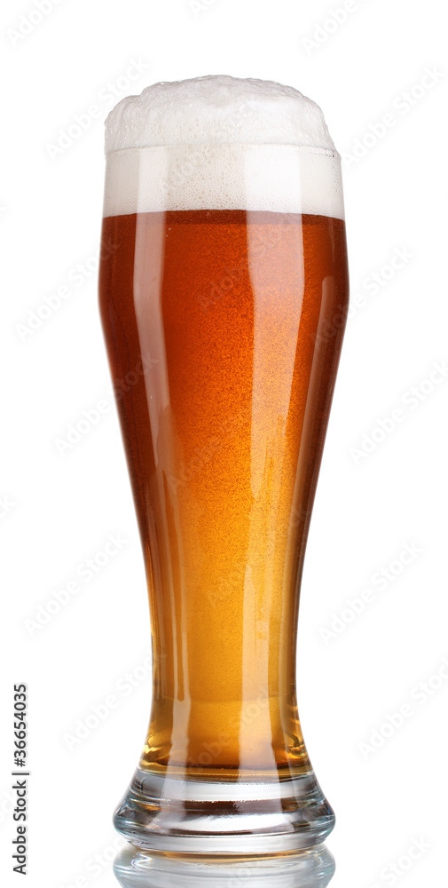 beer in a glass isolated on white beer in a glass isolated on white