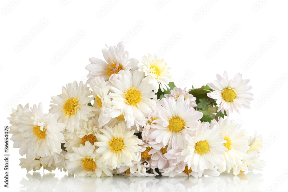 Obraz premium beautiful bouquet of daisies isolated on white