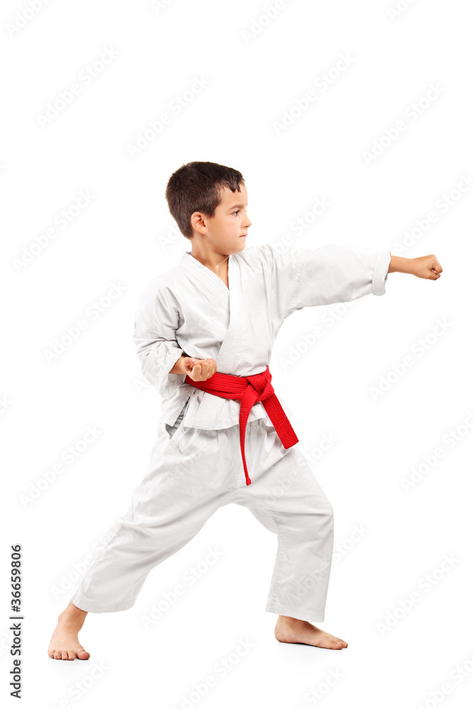 Full length portrait of a karate child posing Full length portrait of a karate child posing