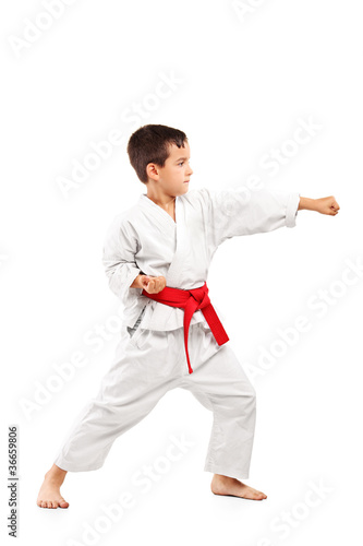 Full length portrait of a karate child posing