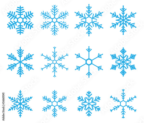 Snowflake Vector