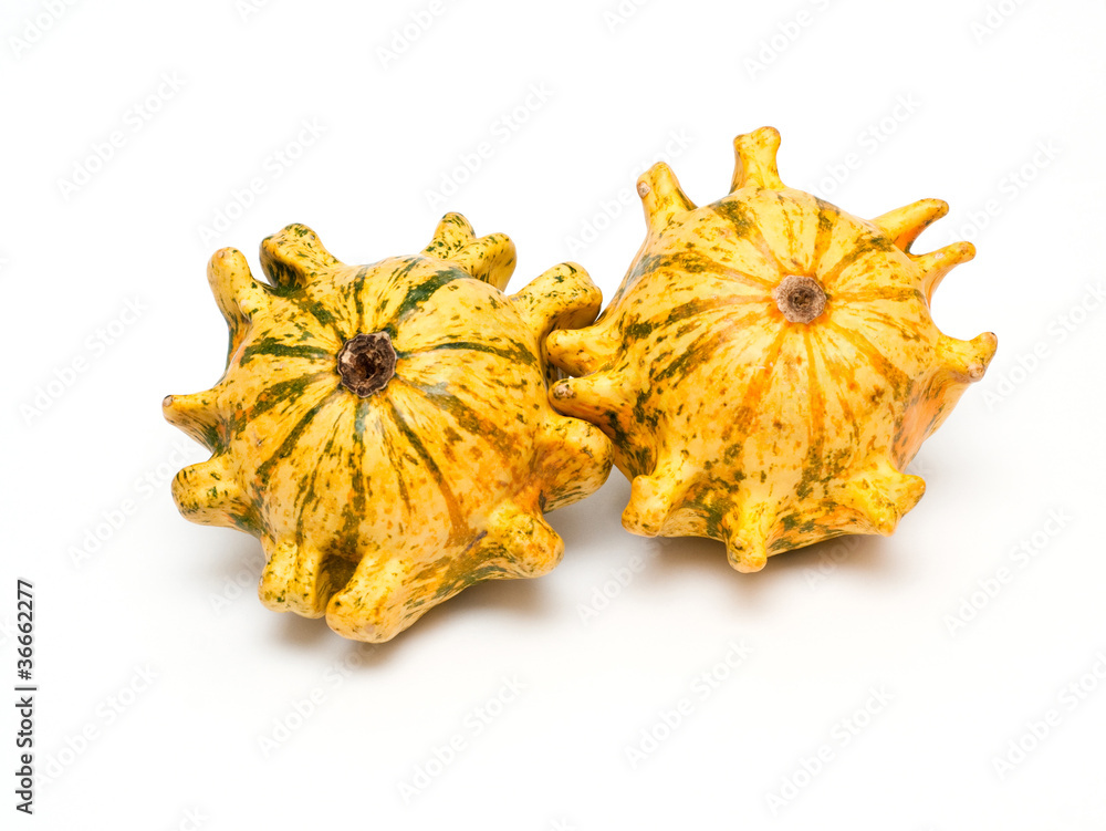 Fototapeta premium Decorative pumpkins isolated on white