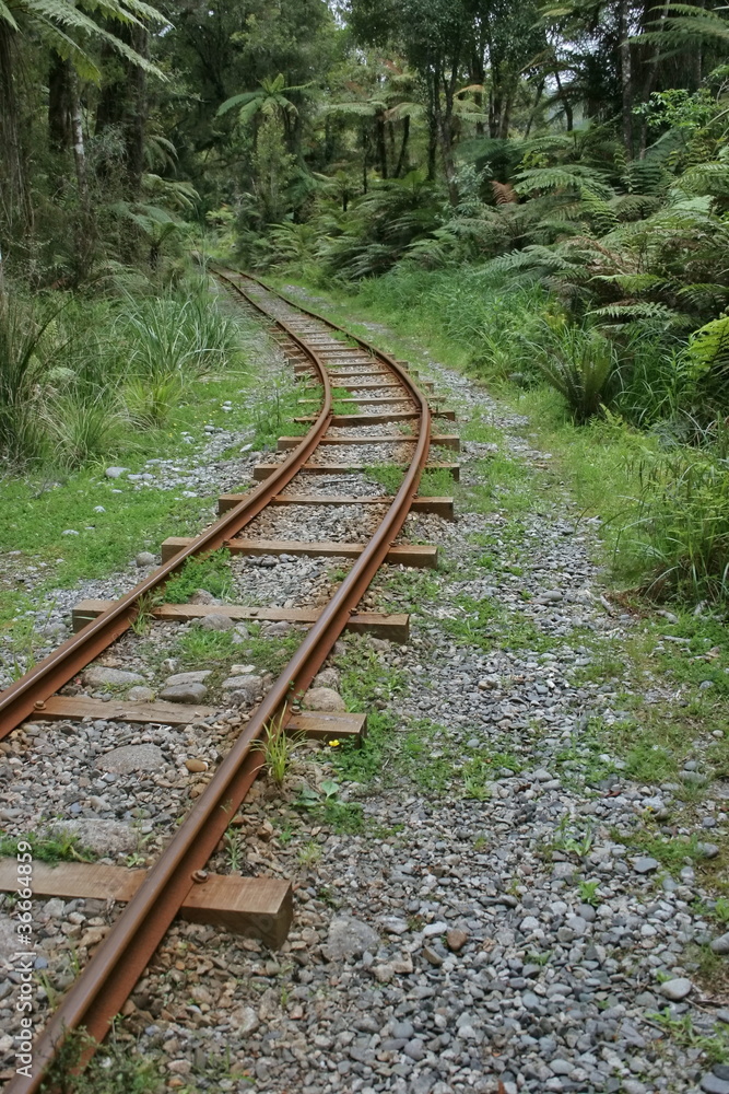 Rusted rails curve in the jungle Rusted rails curve in the jungle