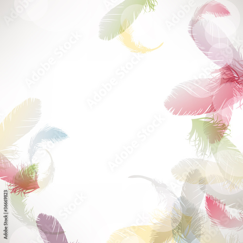 colorful feather background