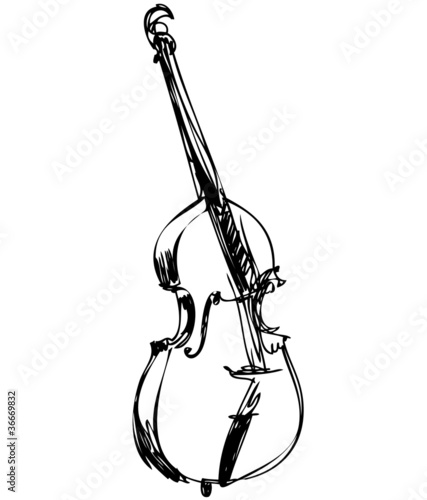 stringed musical instrument orchestra large violin bass