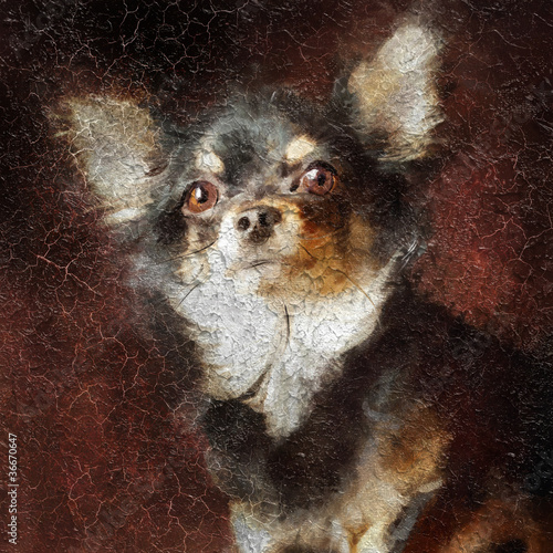 Chihuahua portrait. Simulation of old painting style