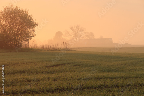 Misty farm