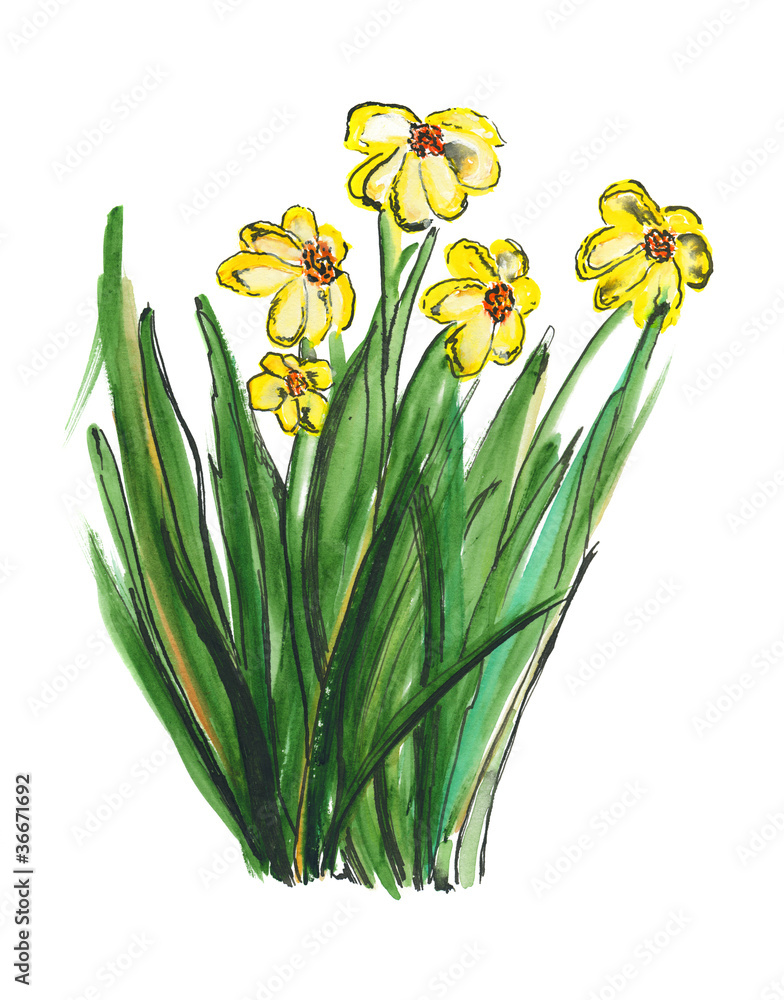 spring flower spring flower