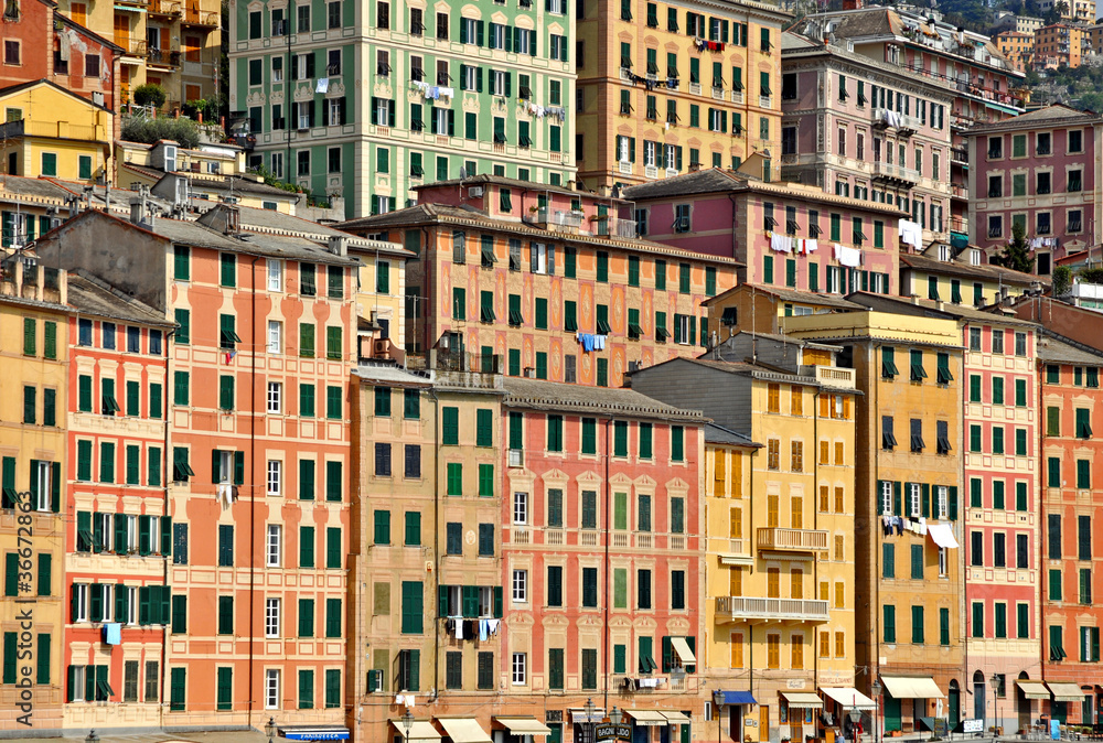Fototapeta premium Camogli, le case, Liguria