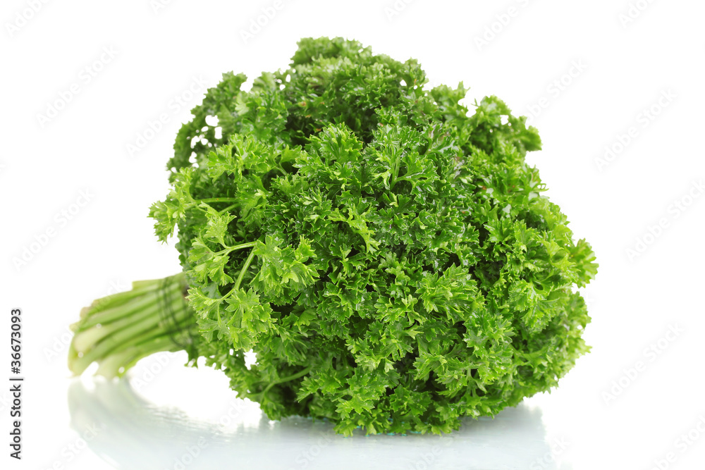 fresh bunch of parsley isolated on white fresh bunch of parsley isolated on white
