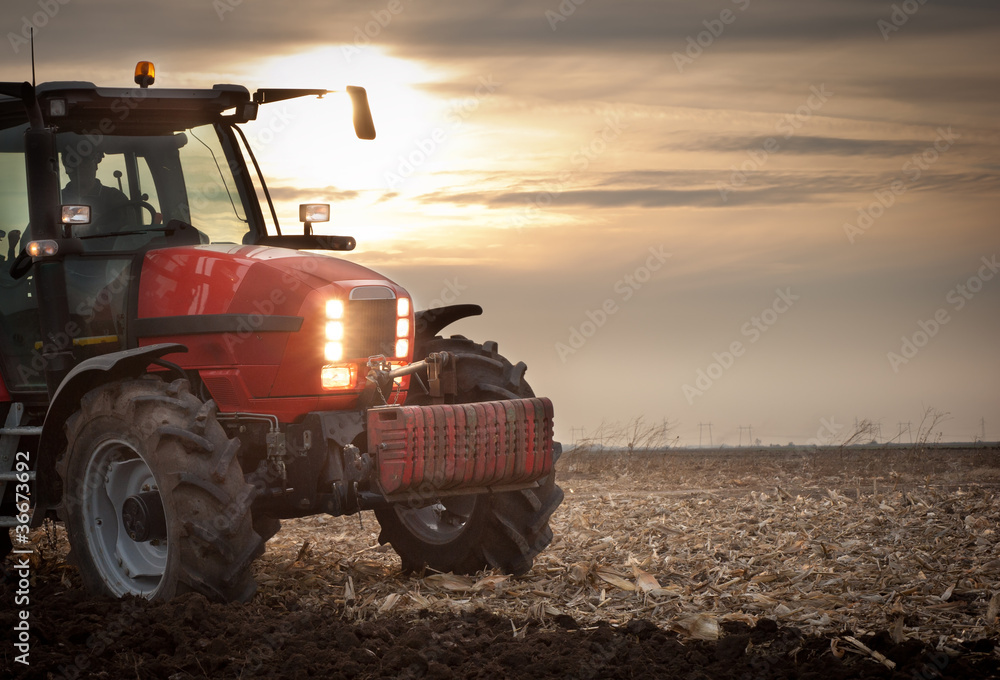 Fototapeta premium plowing at dusk
