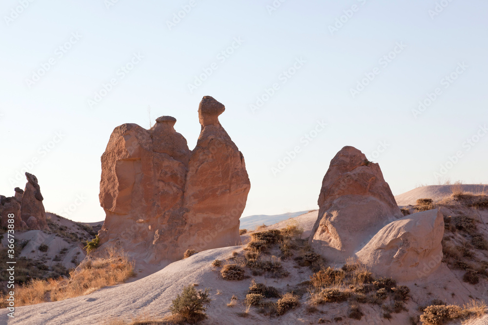Cappadocia. Valley of Dervent. Camel