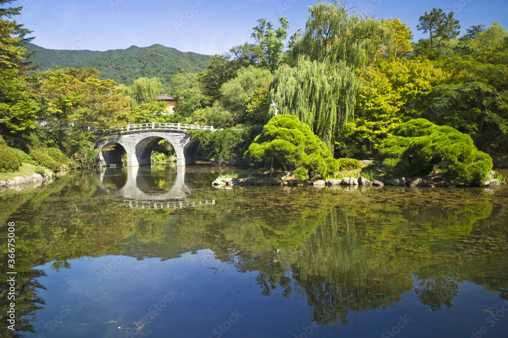 Fototapeta premium Beautiful garden