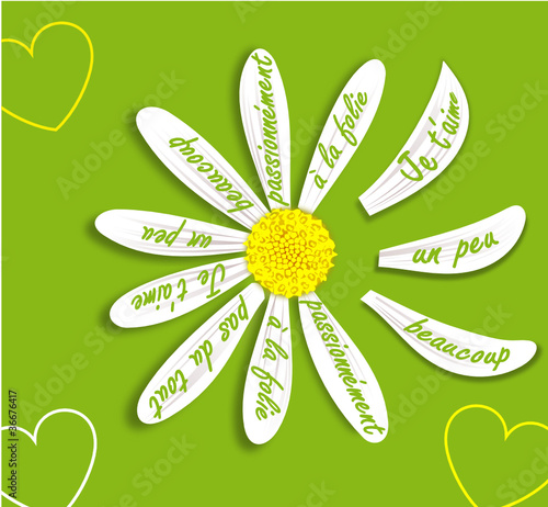 marguerite je t'aime, un peu, beaucoup pétale courbé