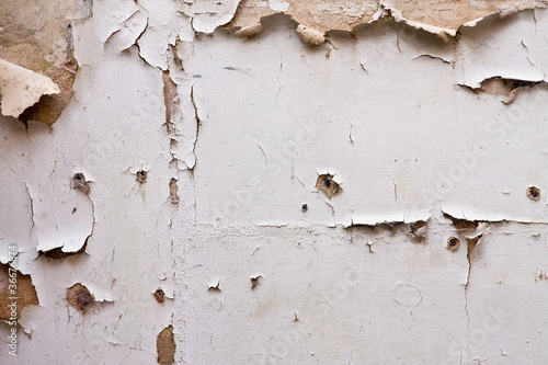 Paint peeling off plaster wall in a derelict building