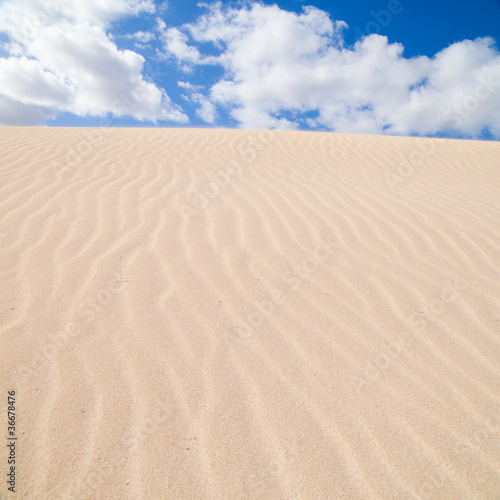 Fuerteventura; Corralejo sand dunes nature park