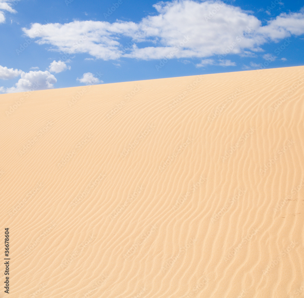 Fuerteventura; Corralejo sand dunes nature park Fuerteventura; Corralejo sand dunes nature park