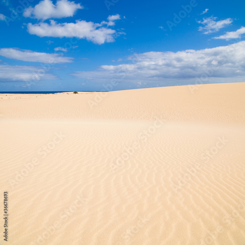 Fuerteventura; Corralejo sand dunes nature park