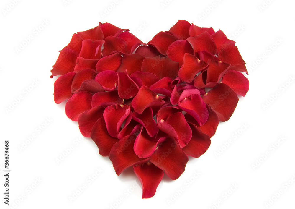 Rose petals in a shape of a heart Rose petals in a shape of a heart