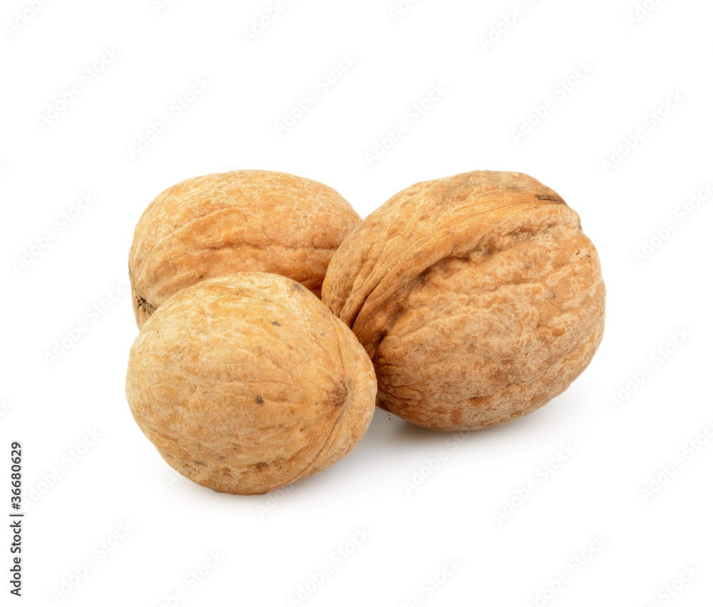 walnut group isolated walnut group isolated