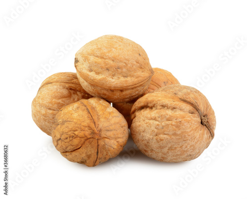 walnut group isolated