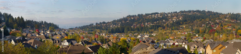 Fototapeta premium Residential Homes in Suburban North America