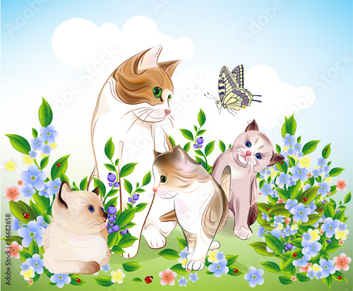 happy cats family. Cat and  kittens on the meadow.