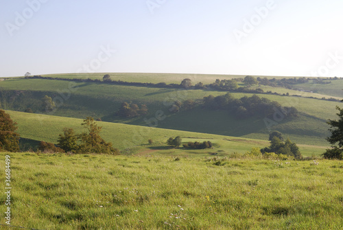 South Downs countryside near Worthing. England © nickos