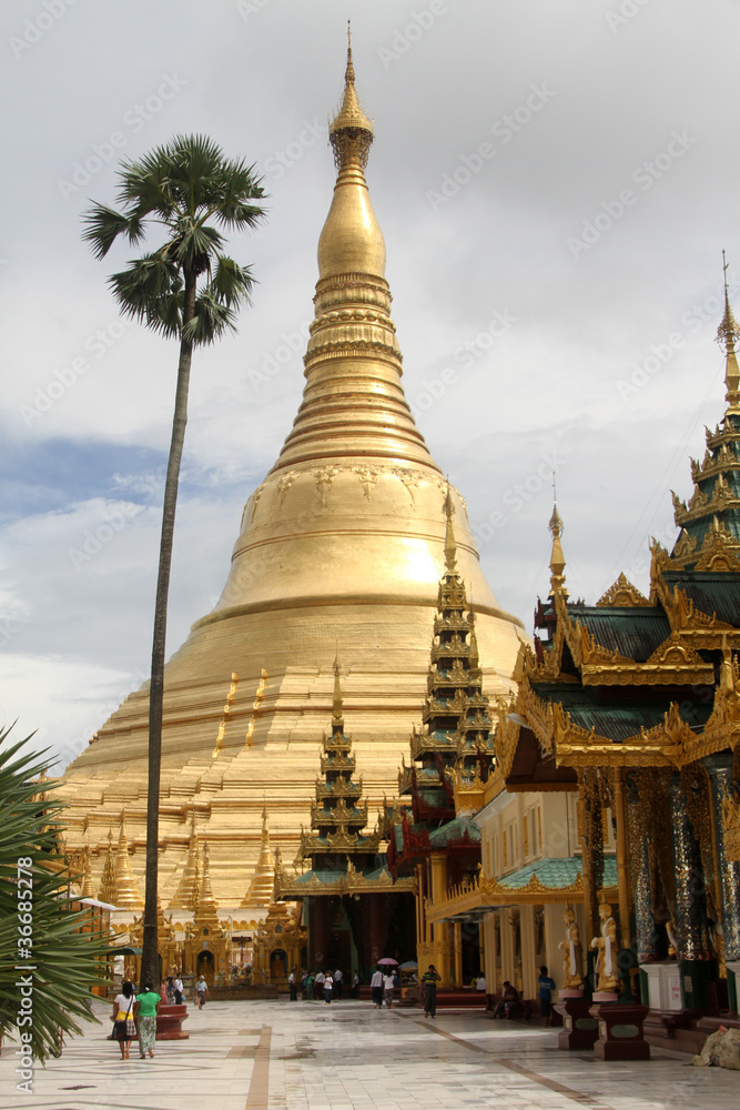 Fototapeta premium Shwe Dagon paya