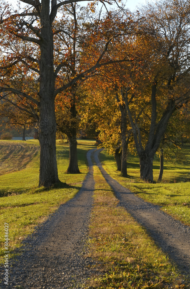 A beautiful country road on an autumn day