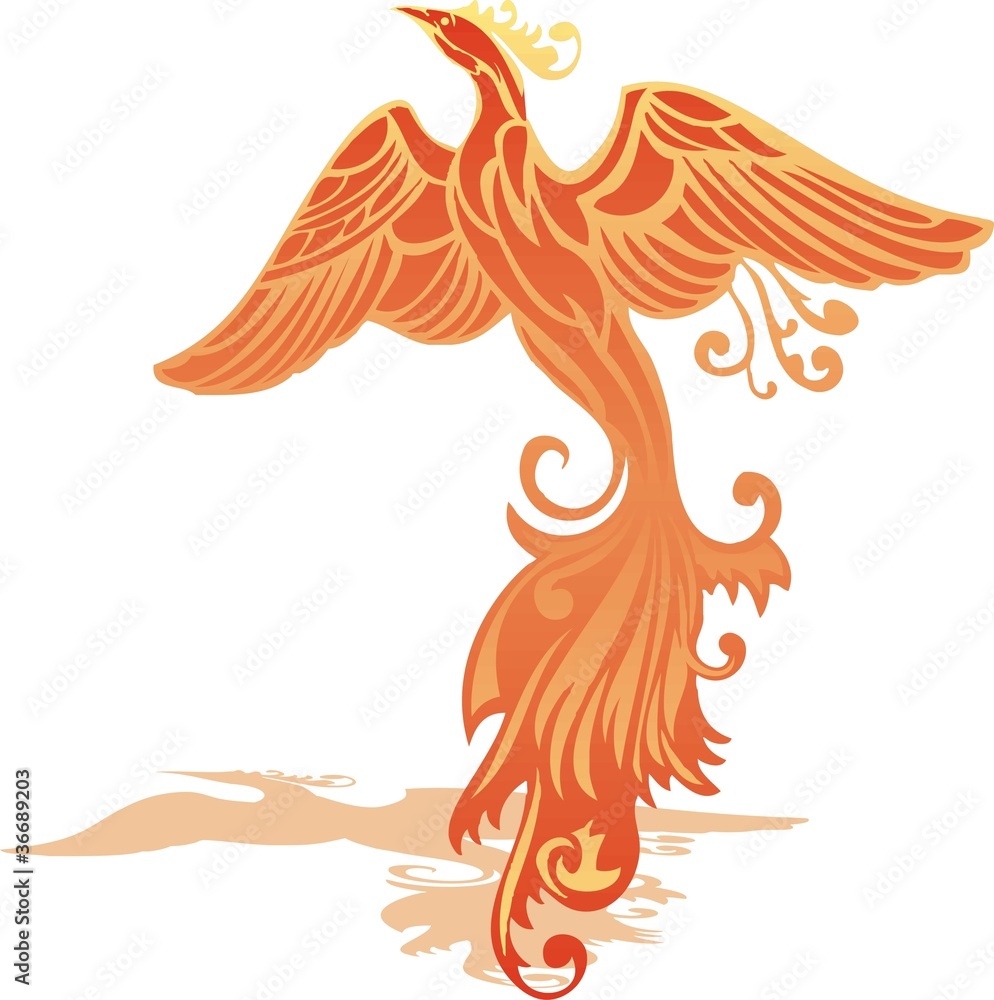 Obraz premium Phoenix Bird
