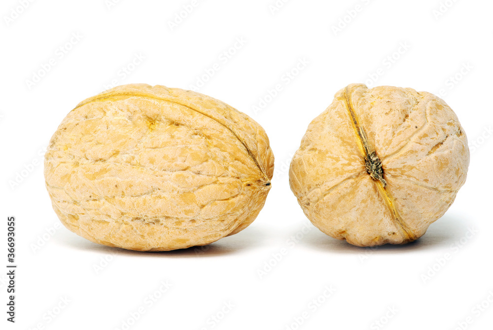 walnuts walnuts