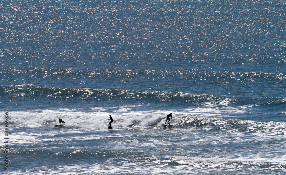 silhouette of surfers on wave