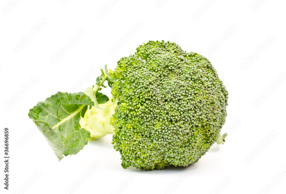 fresh broccoli on white background fresh broccoli on white background