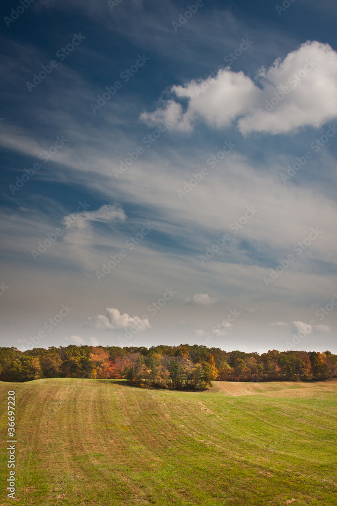 Fototapeta premium vista