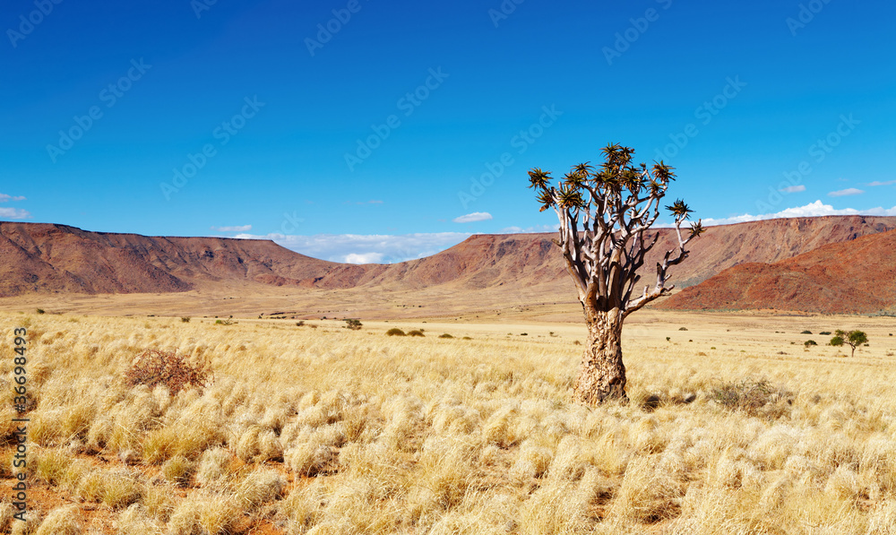 Desert landscape Desert landscape