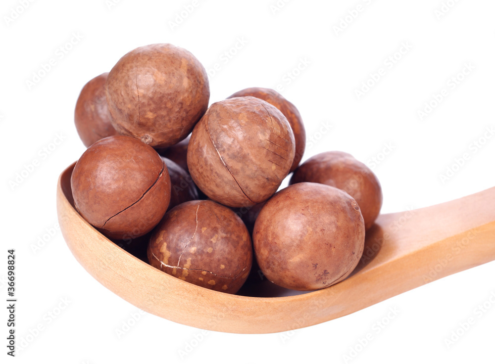 Obraz premium macadamia nuts on white background