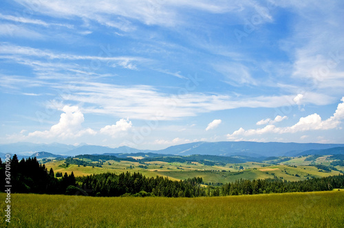 Panoramic view of a summer hilly countryside