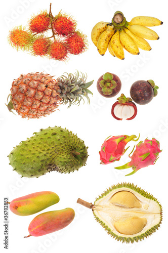 Assortment Of Tropical Fruits