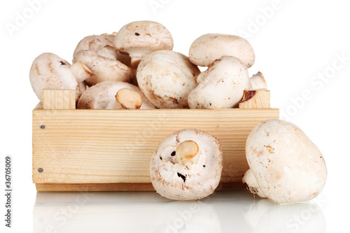 fresh mushrooms in a wooden box isolated on white