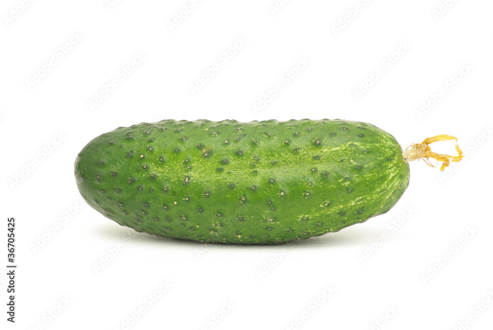 cucumber cucumber