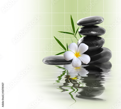 frangipani and stones on the water